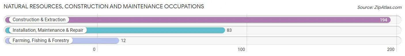 Natural Resources, Construction and Maintenance Occupations in Zip Code 40312