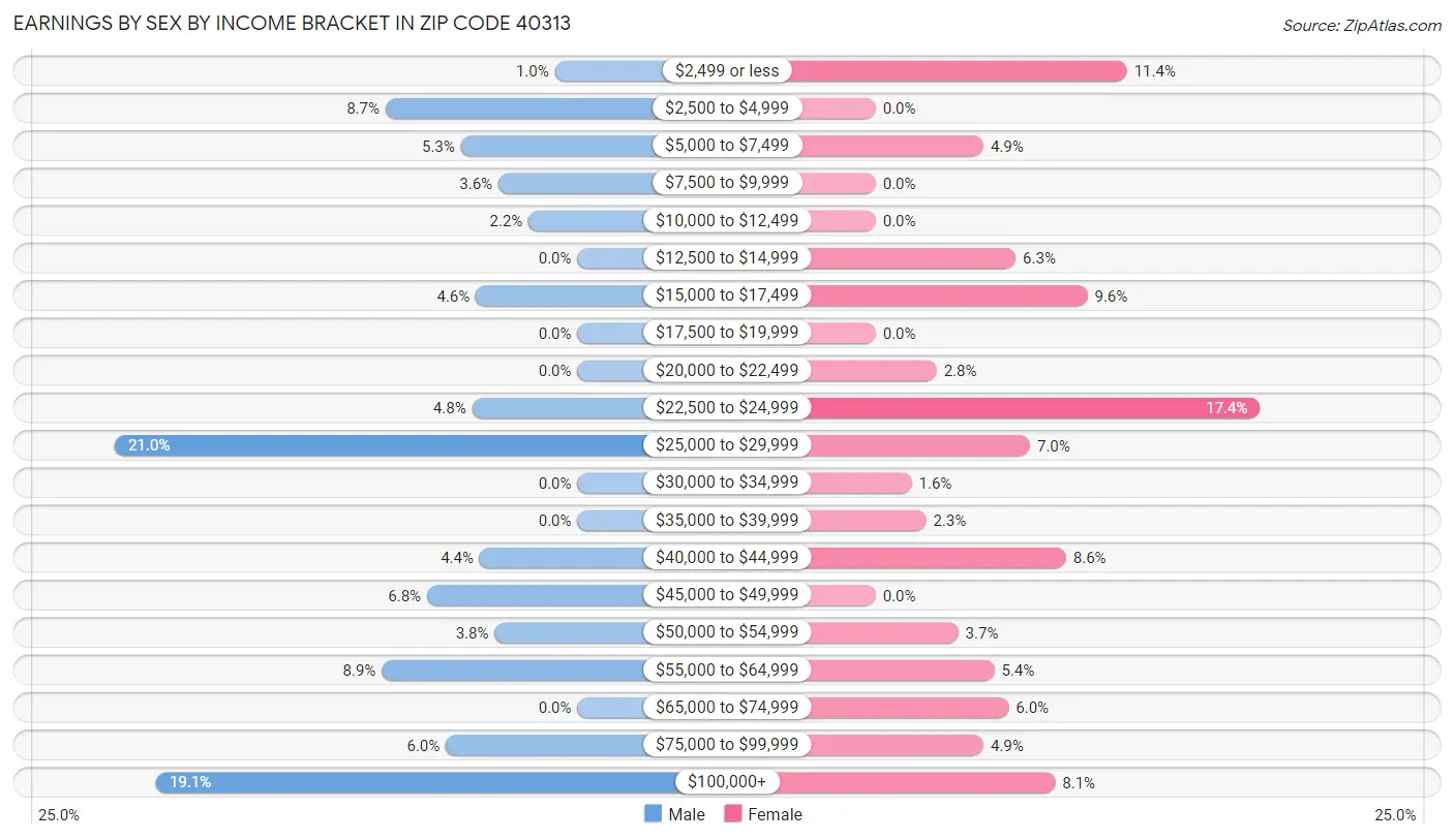 Earnings by Sex by Income Bracket in Zip Code 40313