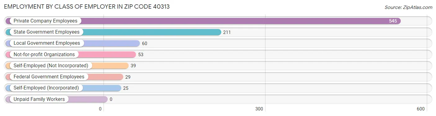 Employment by Class of Employer in Zip Code 40313