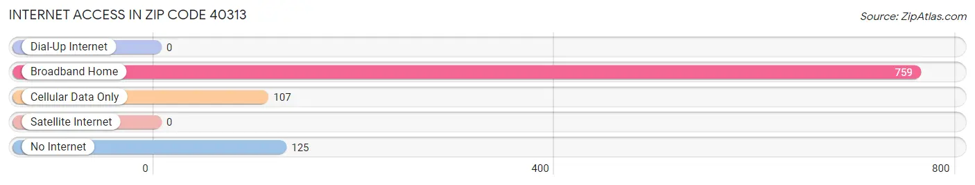 Internet Access in Zip Code 40313