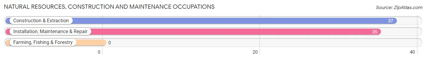Natural Resources, Construction and Maintenance Occupations in Zip Code 40313