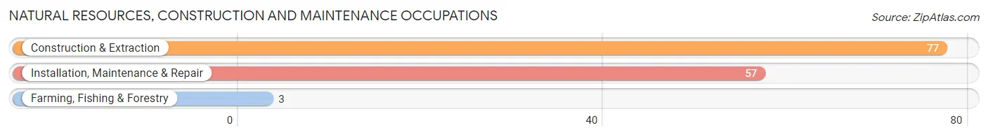 Natural Resources, Construction and Maintenance Occupations in Zip Code 40322