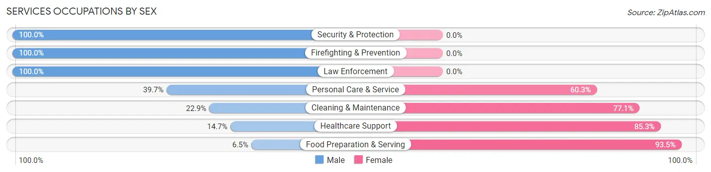 Services Occupations by Sex in Zip Code 40336