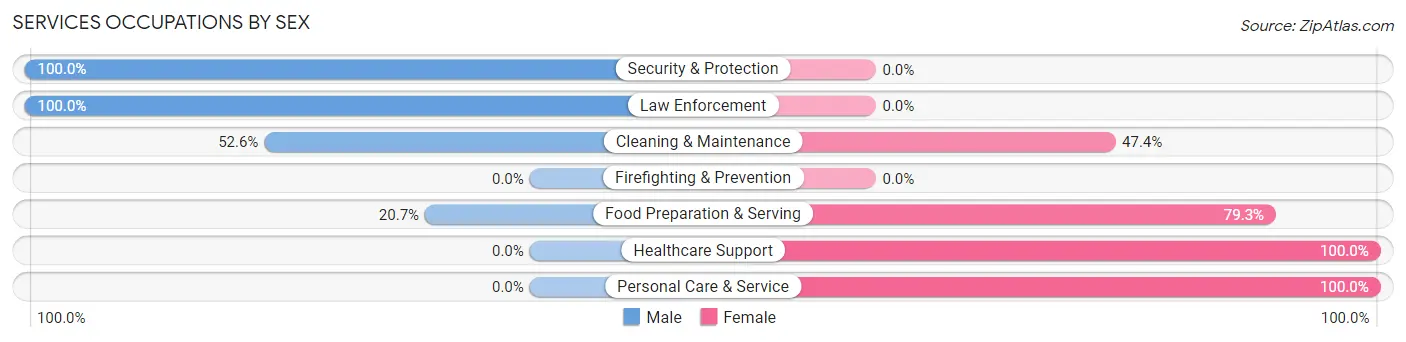 Services Occupations by Sex in Zip Code 40337