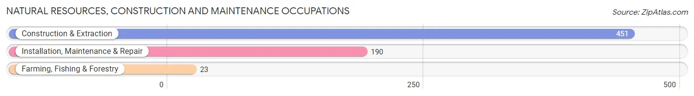Natural Resources, Construction and Maintenance Occupations in Zip Code 40351