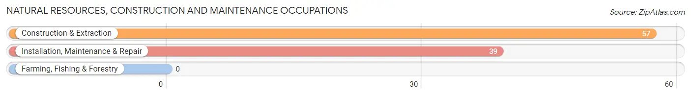 Natural Resources, Construction and Maintenance Occupations in Zip Code 40371