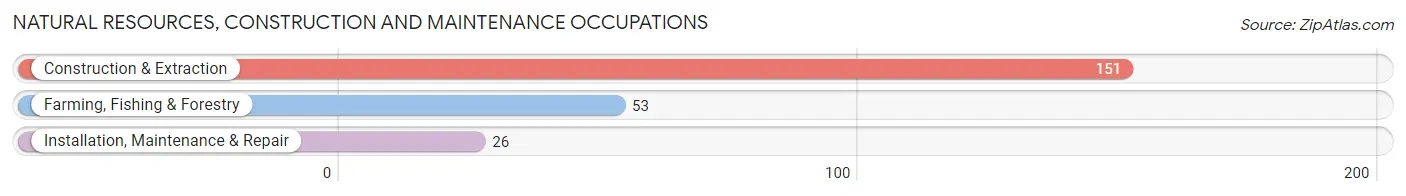 Natural Resources, Construction and Maintenance Occupations in Zip Code 40380