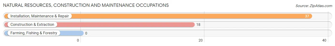 Natural Resources, Construction and Maintenance Occupations in Zip Code 40385