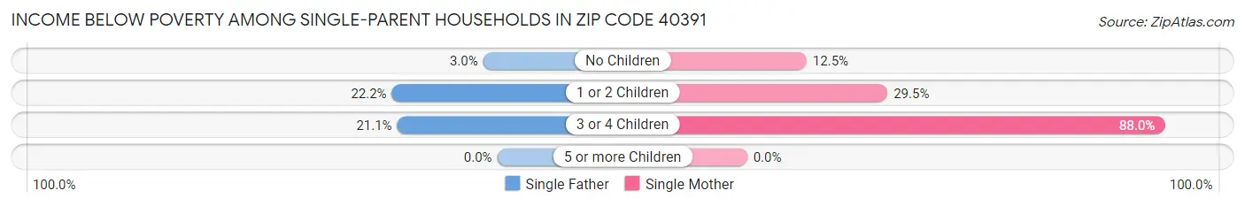 Income Below Poverty Among Single-Parent Households in Zip Code 40391