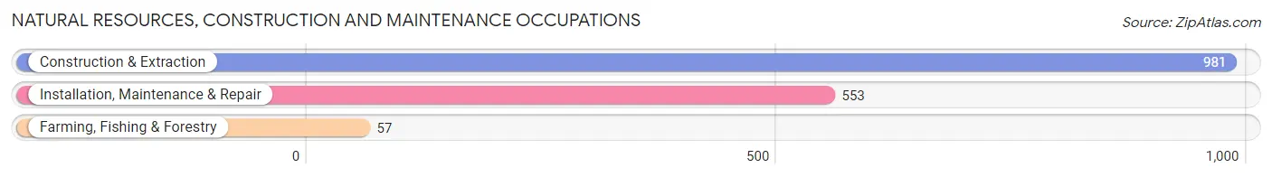 Natural Resources, Construction and Maintenance Occupations in Zip Code 40391