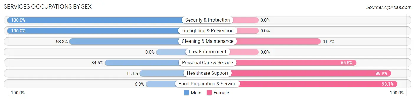 Services Occupations by Sex in Zip Code 40404