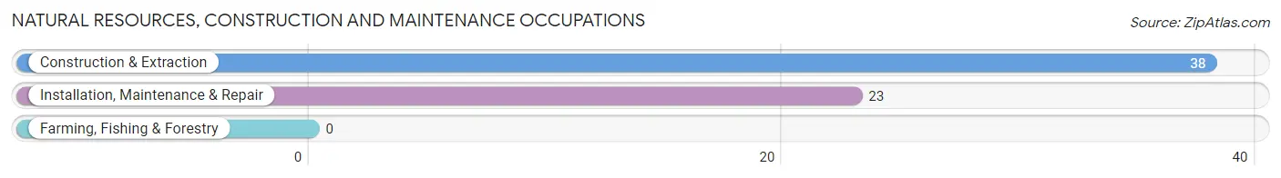 Natural Resources, Construction and Maintenance Occupations in Zip Code 40445