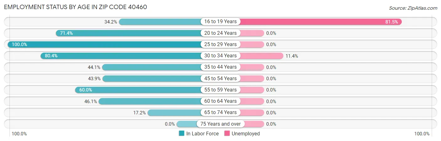 Employment Status by Age in Zip Code 40460