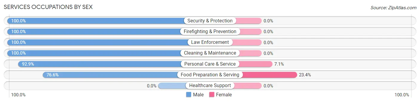 Services Occupations by Sex in Zip Code 40468