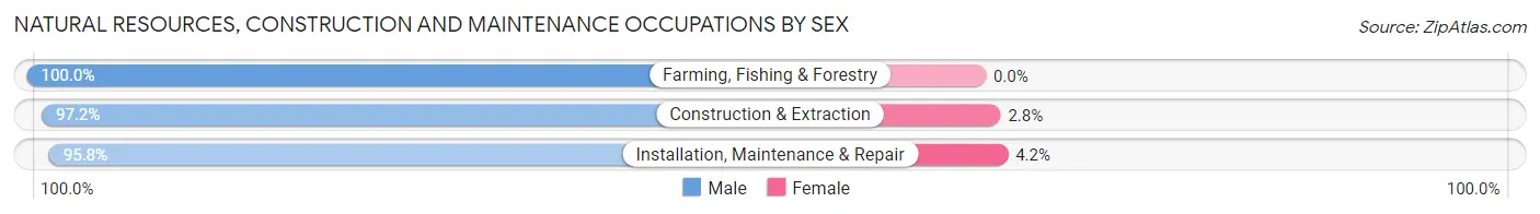 Natural Resources, Construction and Maintenance Occupations by Sex in Zip Code 40484