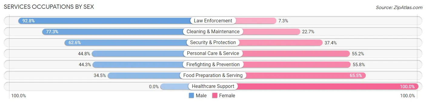 Services Occupations by Sex in Zip Code 40484