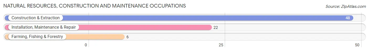 Natural Resources, Construction and Maintenance Occupations in Zip Code 40489
