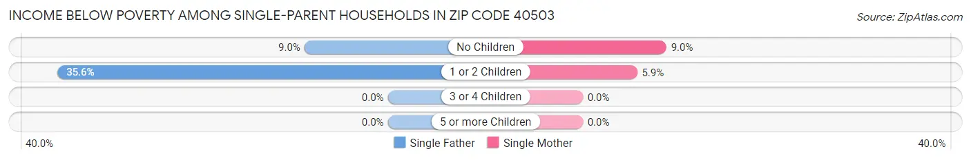 Income Below Poverty Among Single-Parent Households in Zip Code 40503