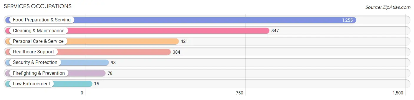 Services Occupations in Zip Code 40504