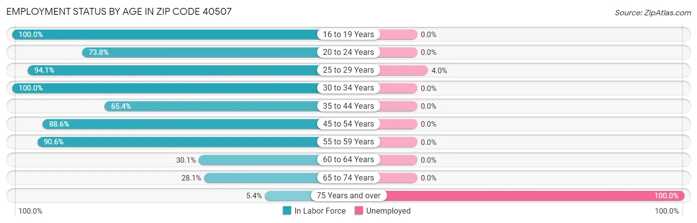Employment Status by Age in Zip Code 40507