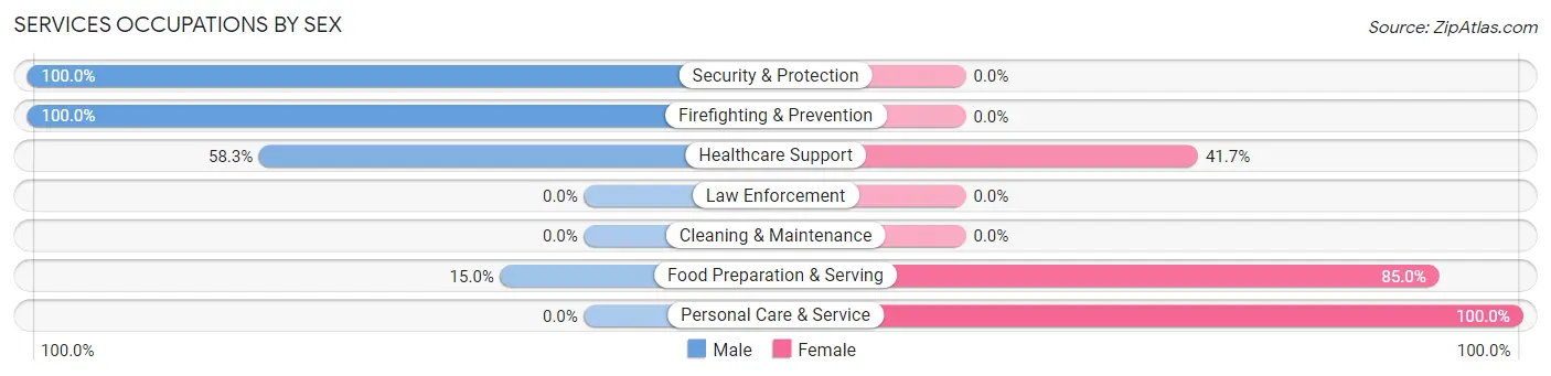 Services Occupations by Sex in Zip Code 40507