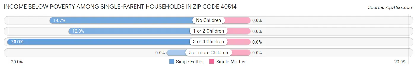 Income Below Poverty Among Single-Parent Households in Zip Code 40514