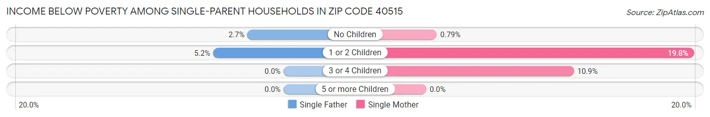 Income Below Poverty Among Single-Parent Households in Zip Code 40515