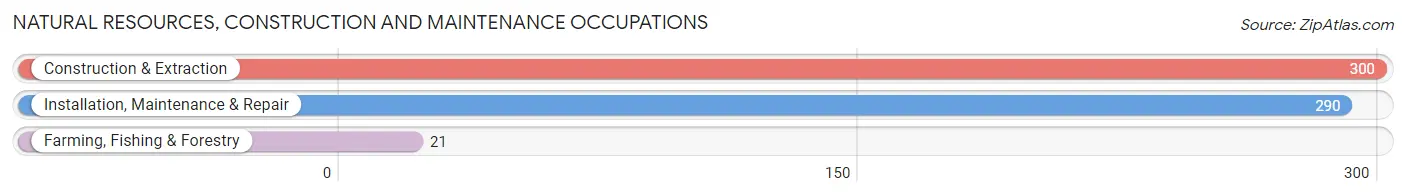 Natural Resources, Construction and Maintenance Occupations in Zip Code 40701