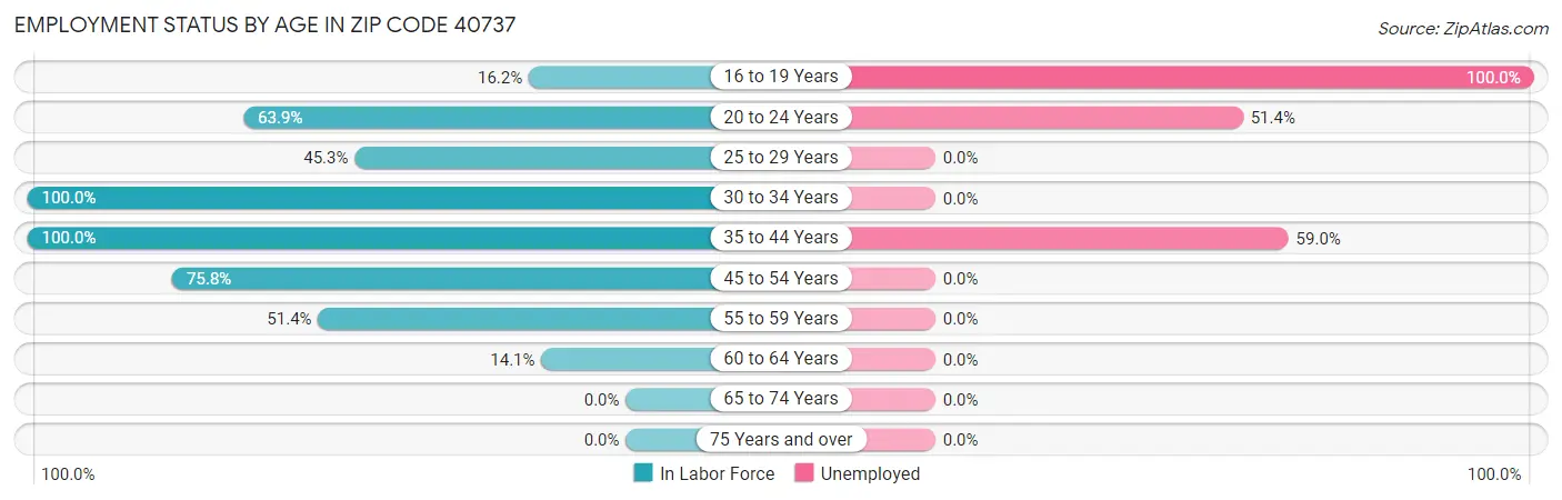 Employment Status by Age in Zip Code 40737