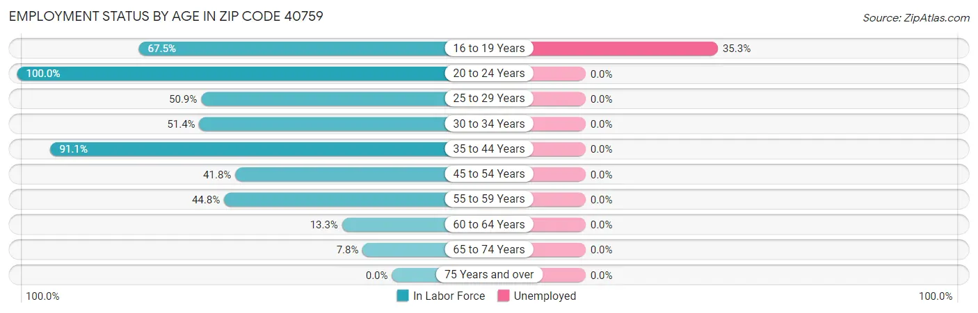 Employment Status by Age in Zip Code 40759