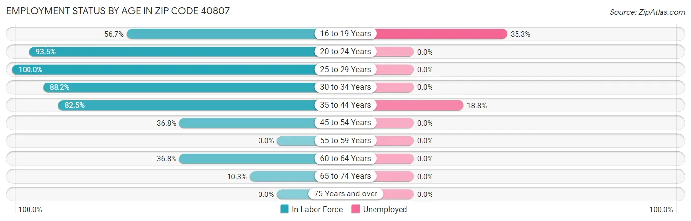 Employment Status by Age in Zip Code 40807