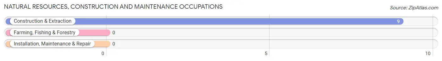 Natural Resources, Construction and Maintenance Occupations in Zip Code 40808