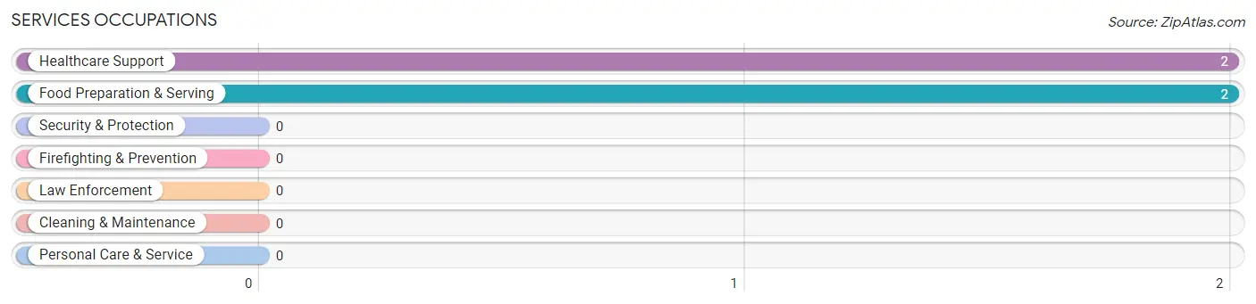 Services Occupations in Zip Code 40808
