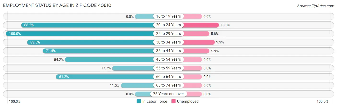 Employment Status by Age in Zip Code 40810