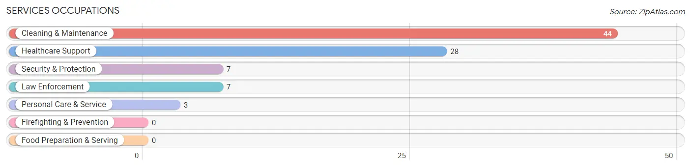 Services Occupations in Zip Code 40810