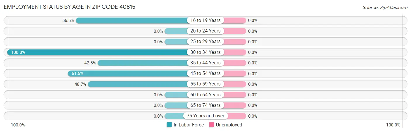 Employment Status by Age in Zip Code 40815