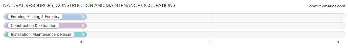Natural Resources, Construction and Maintenance Occupations in Zip Code 40818