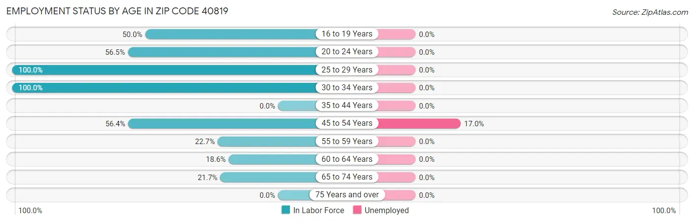Employment Status by Age in Zip Code 40819