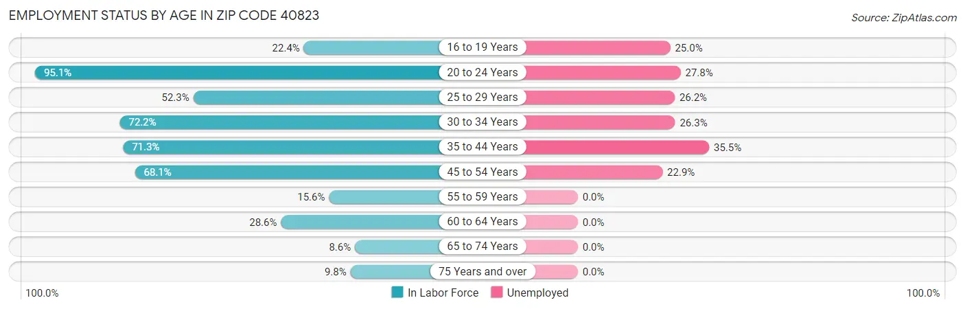 Employment Status by Age in Zip Code 40823