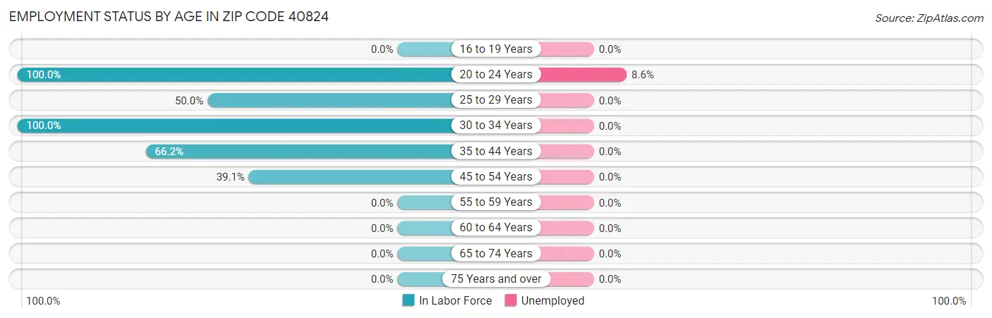 Employment Status by Age in Zip Code 40824