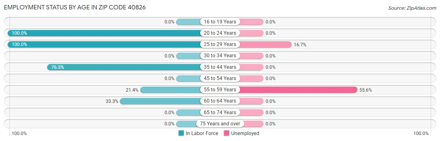 Employment Status by Age in Zip Code 40826