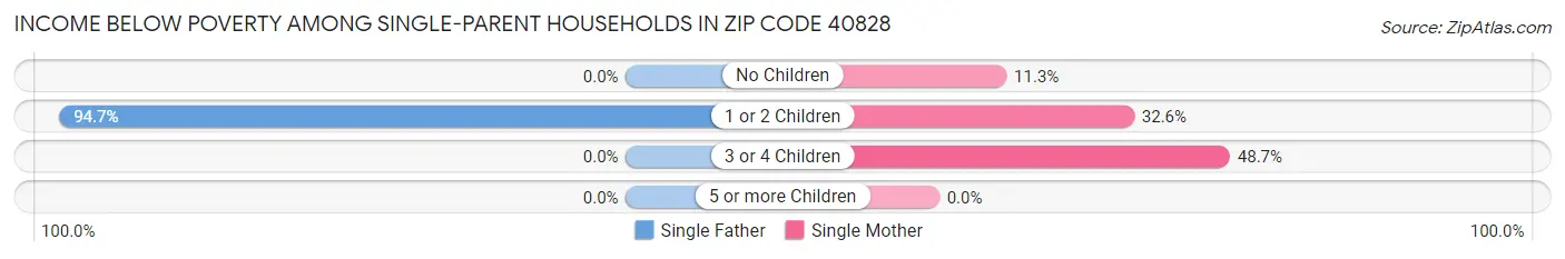 Income Below Poverty Among Single-Parent Households in Zip Code 40828