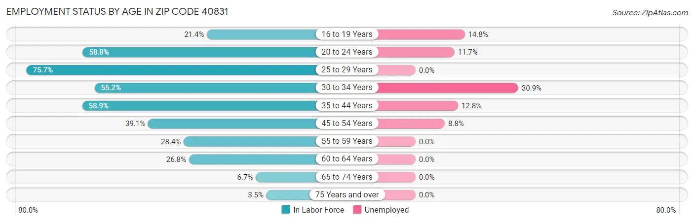 Employment Status by Age in Zip Code 40831