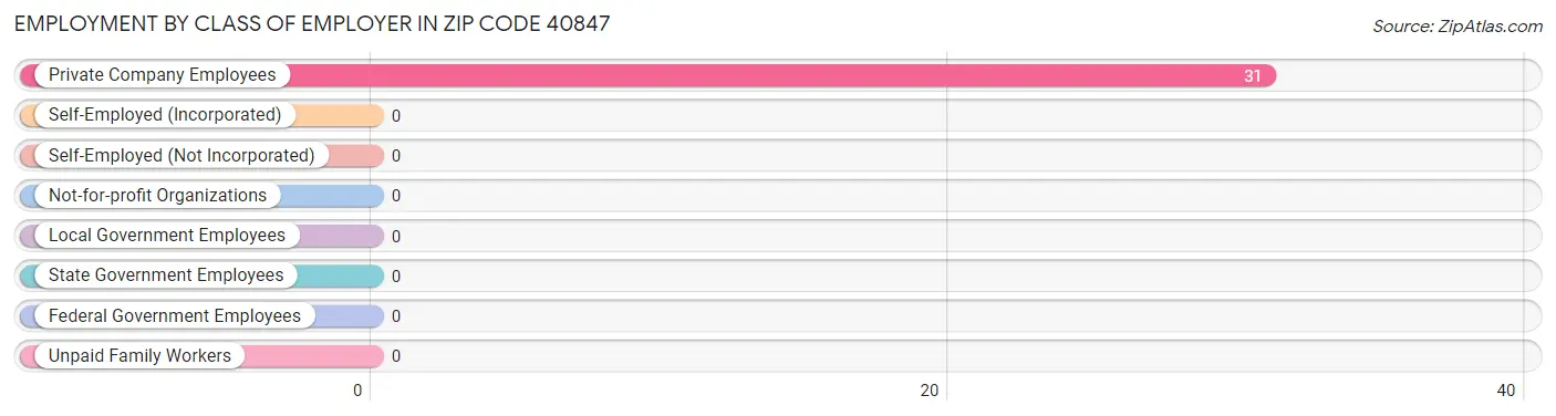 Employment by Class of Employer in Zip Code 40847