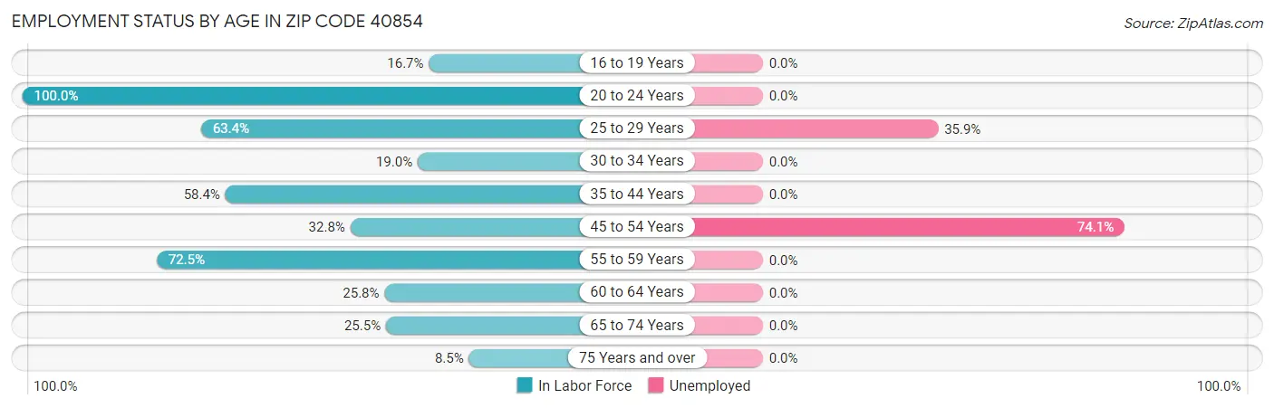 Employment Status by Age in Zip Code 40854