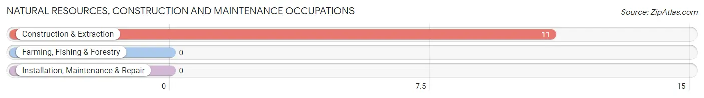Natural Resources, Construction and Maintenance Occupations in Zip Code 40854