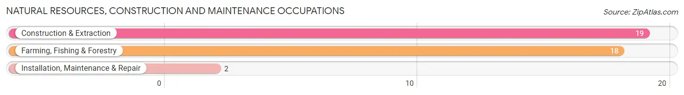 Natural Resources, Construction and Maintenance Occupations in Zip Code 40855