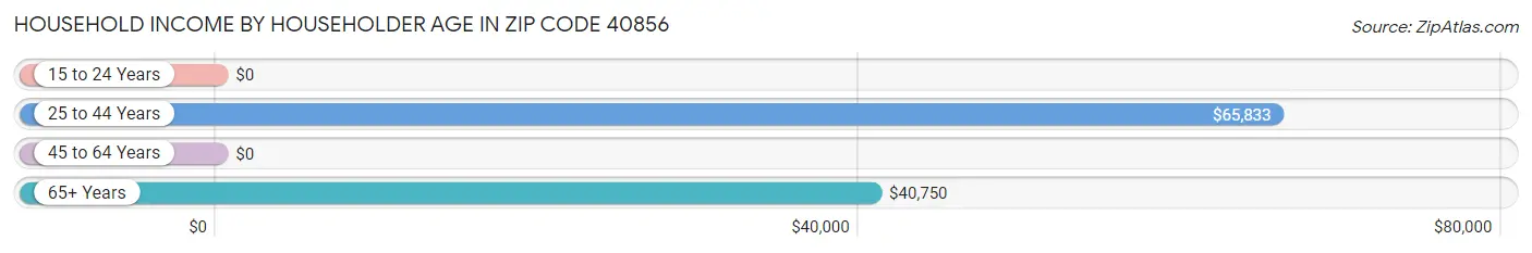 Household Income by Householder Age in Zip Code 40856