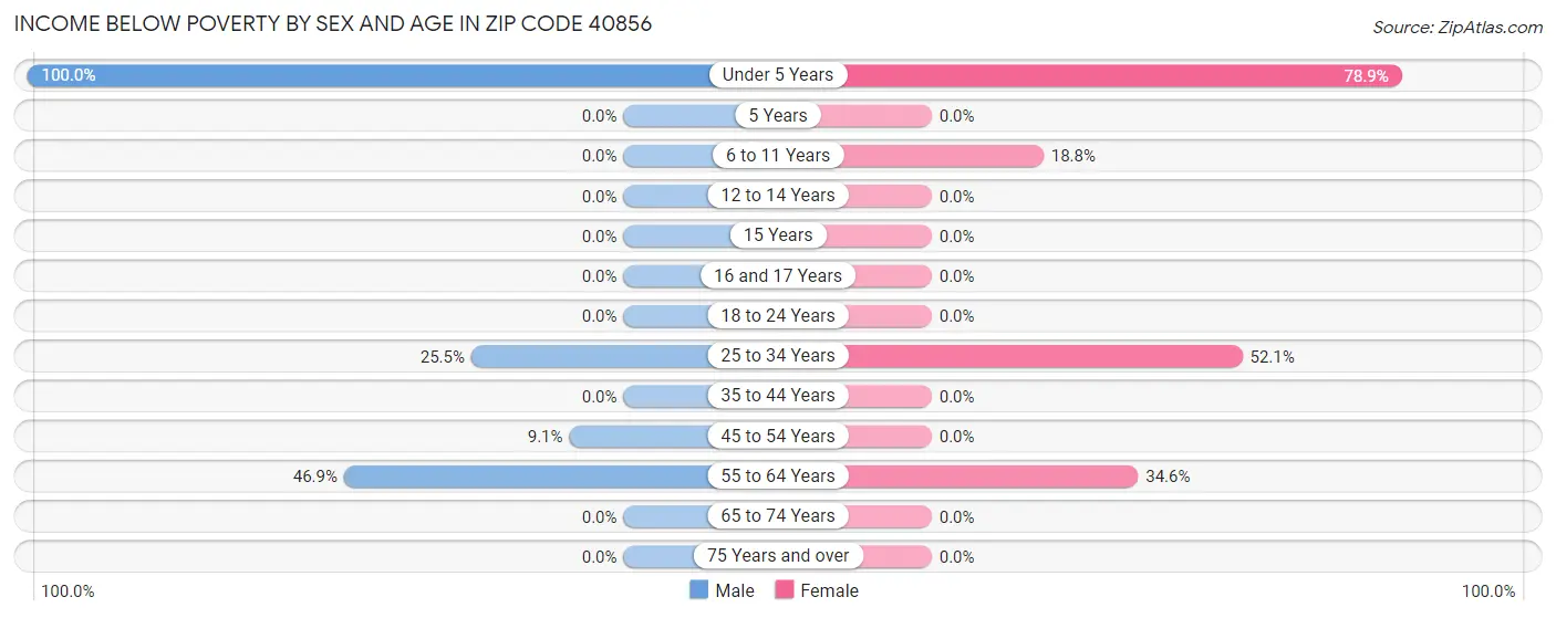 Income Below Poverty by Sex and Age in Zip Code 40856