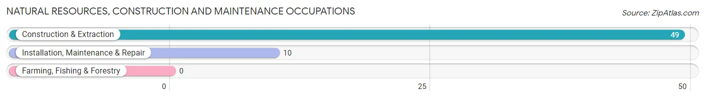 Natural Resources, Construction and Maintenance Occupations in Zip Code 40856